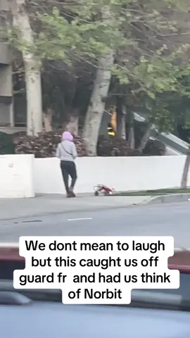 #norbit #fyp #Siblings #viral #dog  @Celll.05 my wheezing took me out lol