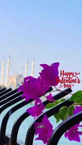 #اضنة_شارع_السوريين #اضنة_غازي_عنتاب_ميرسين_انقرة_ #سوريا #سوريا_تركيا_العراق_السعودية_الكويت #CapCut 