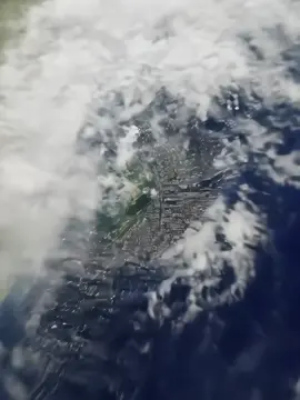 #earthzoomout#pet#fyp#foryoupage#foryou