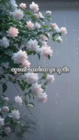 #ပါမောက္ခချုပ်ဆရာတော်ဒေါက်တာနန္ဒမာလာဘိဝံသ #တရားတော်များ #ဓမ္မဒါန #တရားနာ၍စိတ်ရောကိုယ်ပါအေးချမ်းကြပါစေ😊🙏🌹 #တရားနာယူချင်းဖြင့်စိတ်အေးချမ်းပါစေ🙏🙏🙏 