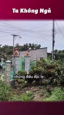 Độc là miền Tây😂  #takhongngu 