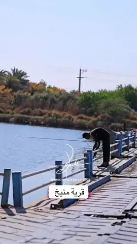 #الاهواز_ميديا🔵🇮🇷🇮🇶 #بوشهر #هرمزگان #جنوب_ايران #بغداد_العراق #البصره #السعوديه🇸🇦 #شط_العرب #الكويت #xplore #tik_tok #النخيل #ايران🇮🇷 