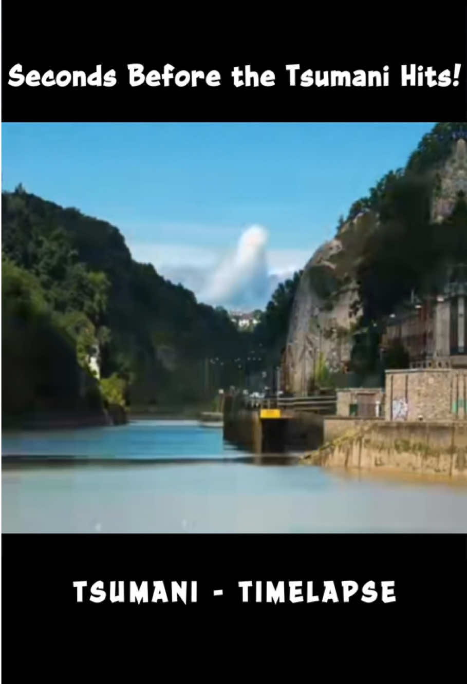 Seconds before the tsunami hits #disaster #scariest #tsunami #naturepower #unitedstates 