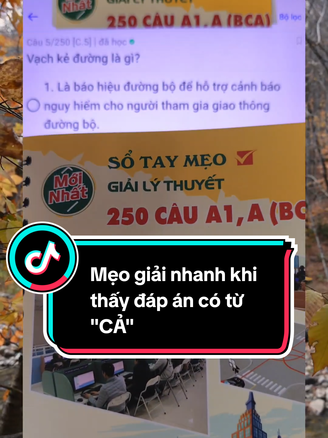 Mẹo giải nhanh khi thấy đáp án có từ 