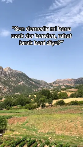 #bırakma #yıldıztilbe #keşfet #adıyaman #sibeltüzün 