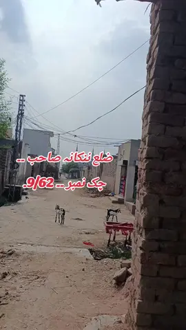 #unfreeze #foryoupage 