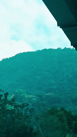 oh a beleza da floresta quem aí gosta?? esse é meu lugar favorito 🖤🐻