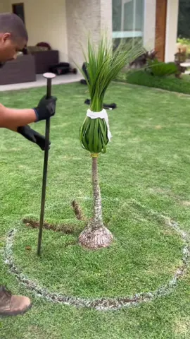 landscaping Satisfying Videos #lawncare #lawnmower #pressurewashing #cleaning #satisfyingvideo 
