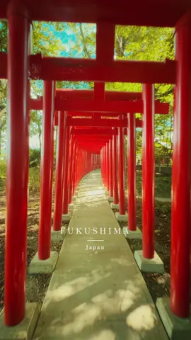 📍Isasumi Shrine -伊佐須美神社- Fukushim, 福島 Beautiful places in Japan 🇯🇵  #japan #japantravel #japantrip #anime #animejapan              