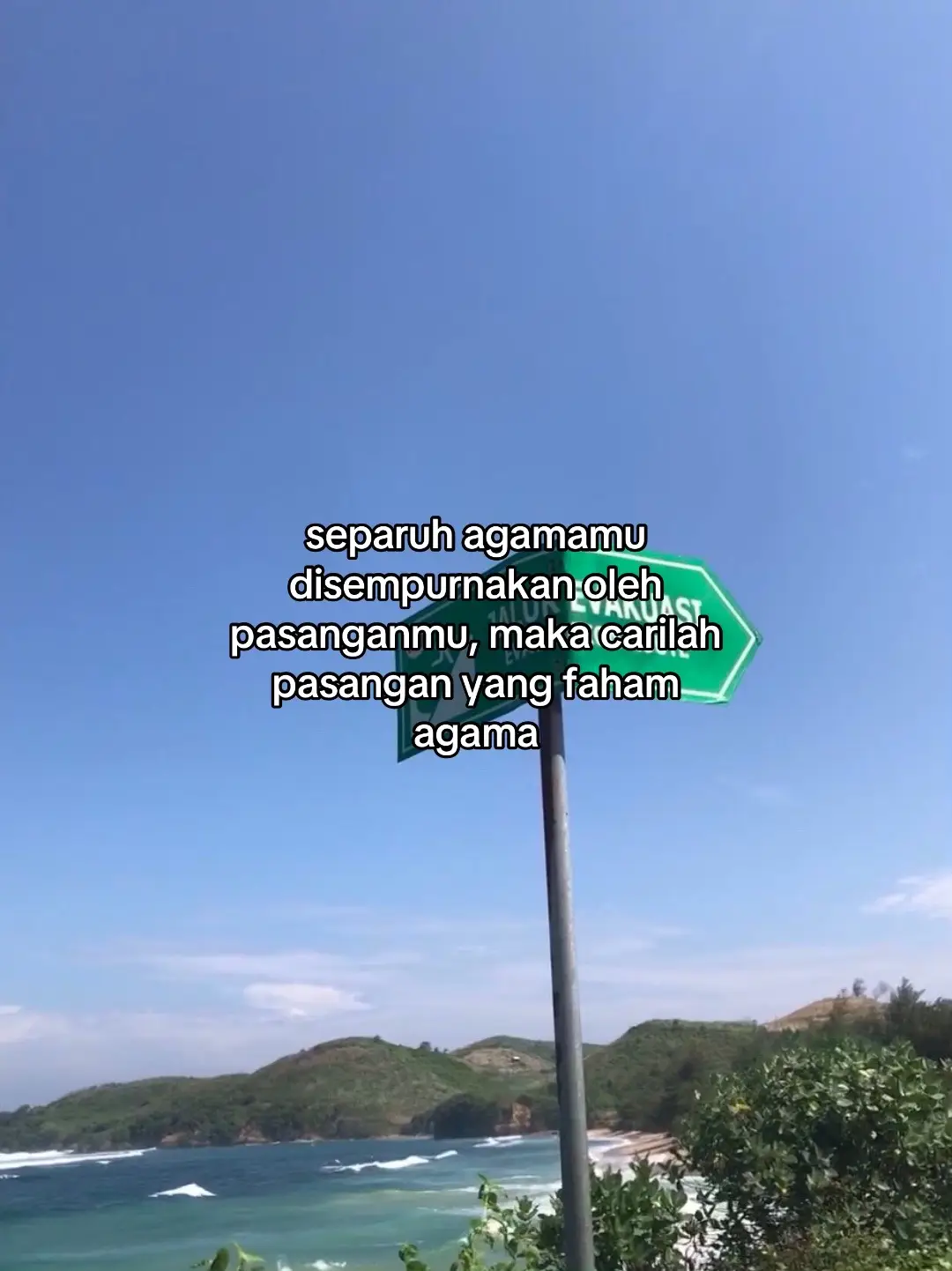 jadi bingung soalnya mau semua #wonwoo#the8#jeonghan#seventeen#fyppp 