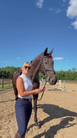 Riding OOTD #ridingfitcheck #OOTD #equestrian #jumper 