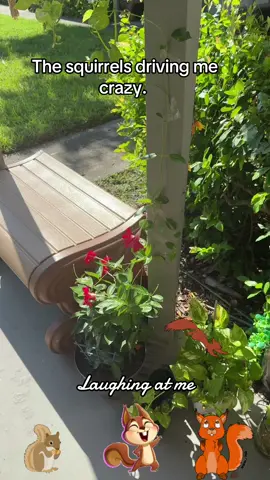 #FDT #nyc1starr #jtkf #dramafree💓 #fyp 