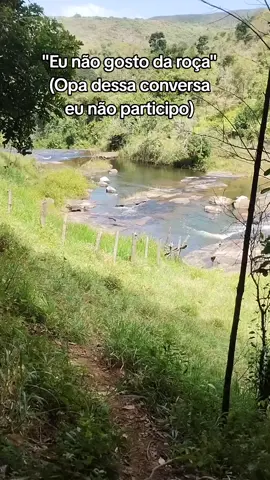 #roça #viral #mato #interior 