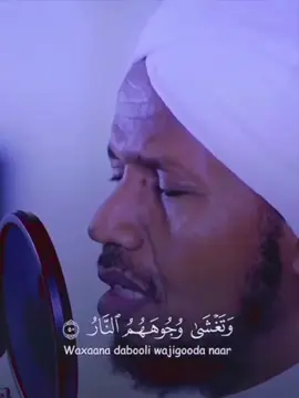 quraanka alle faafi usheer garee asxaabtaada  #Love saar Codsi waaye #شيخ_عبدالرشيد_شيخ_علي_صوف #تلاوة_خاشعة #اكسبلور #استرح #القران_الكريم #somalitiktok #somalitiktok #fypシ #foryoupage #forever #vvvvvvvvvvvvv #tiktok 