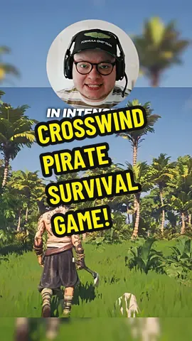 Pirate survival game! Crosswind! #GamingOnTikTok #gamestoplay #coopgames #WhatToPlay #gamestoplaywhenyourbored 