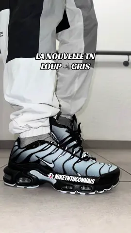 👻 N I K E T N T U C O N N A I S #chaussurerentree #nouvelletn #TNHIVER #tnrainbow #tnsmokegrey 
