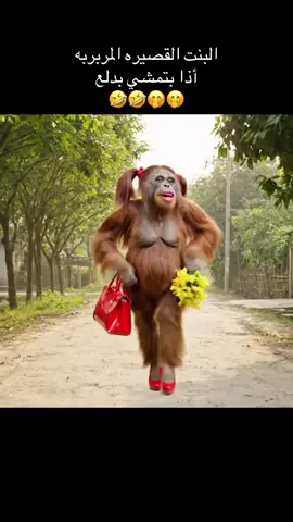 #متابعه_ولايك_واكسبلور_فضلا_ليس_امر #🤣🤣🤣🤪🤪🤪🤪🤪 