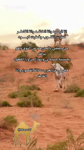 #‎اكسبلور #fyp #viral #foryou  #explore 