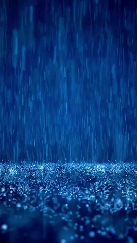 Nhìn nhầm & Nghe sai.. #vidangcuocdoitoi 