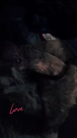 ❤️❤️🥰#CapCut 