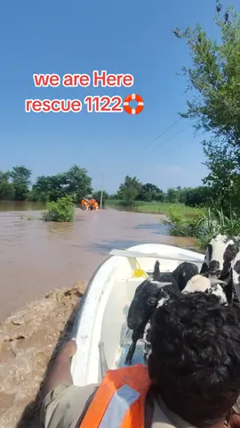 we are Here #lifesaver #1122 #flood 