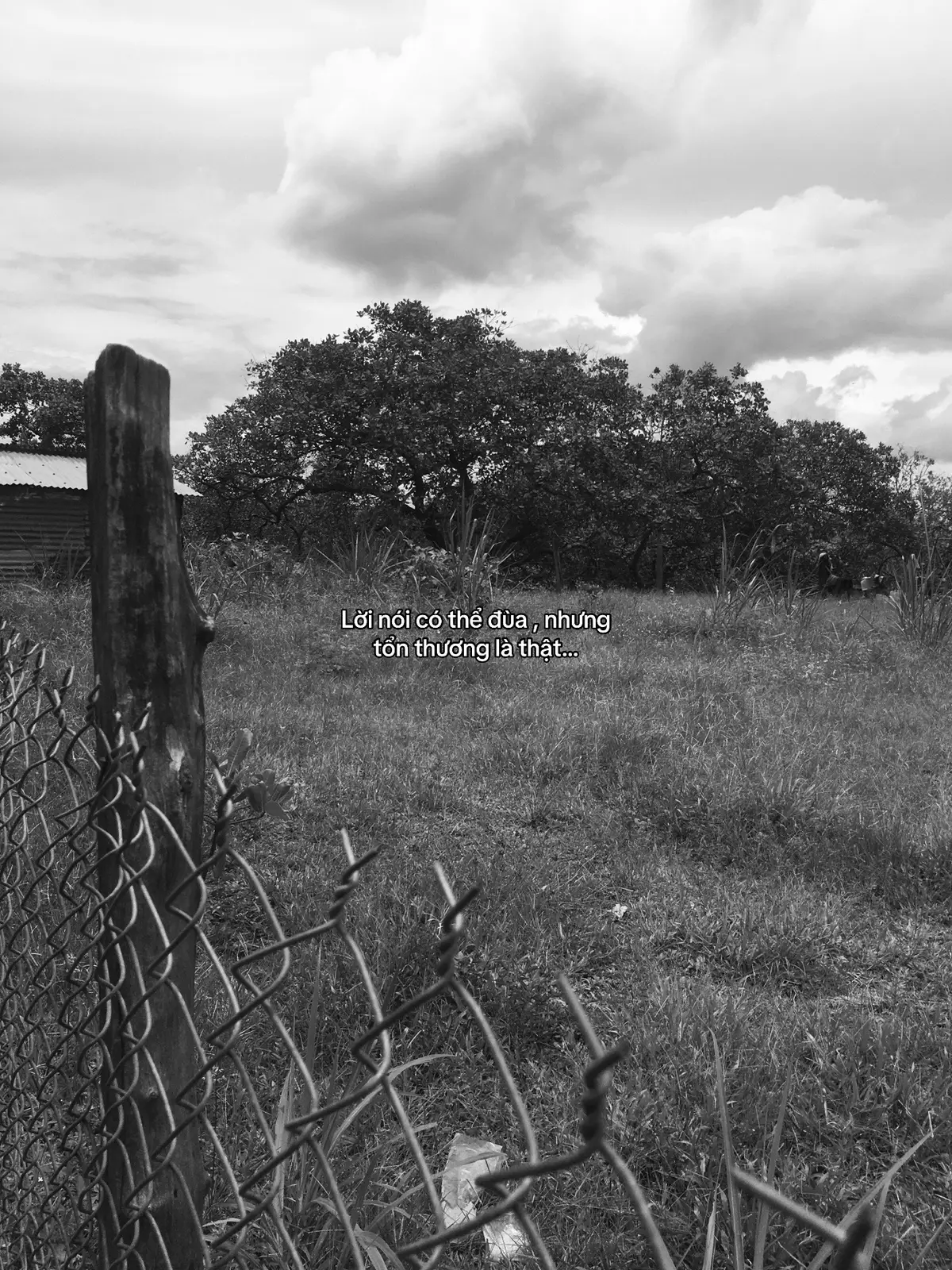 Tổn thương ☺️ #buon_tam_trang #overthinking #tamtrang #buon #xuhuonggggggggggggggggg 