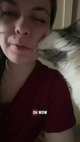 Swish’s crispiness is down to a 3 today 🕺 #seniorcat