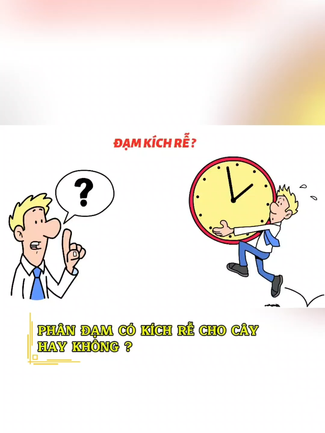 PHÂN ĐẠM CÓ KÍCH RỄ ĐƯỢC KHÔNG ?#agriculture #nongnghiepthudi #chiasekienthuc #loveplants #nongnghiep #Kienthuc #NPK