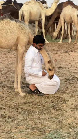 🐪🫂🤍#4u #aifilter #fyp #Multiaverso 