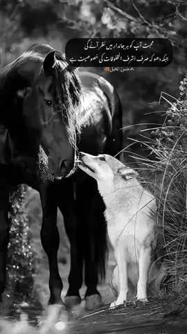 Love you'll see in every living soul, While deceit is man’s alone, his toll. 