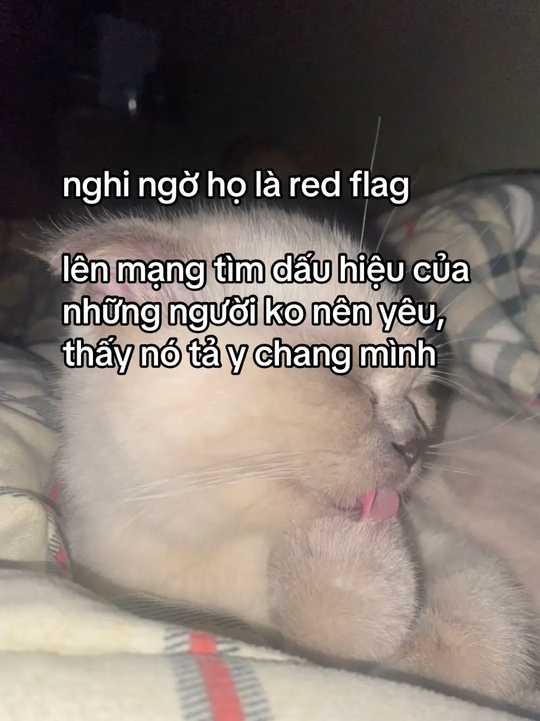 bước vào cuộc chơi chỉ có 2 lựa chọn: ma hoặc bị ma