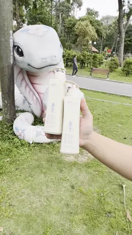 Cảm giác tóc vừa sạch, vừa mềm, vừa thơm là một kiểu xa xỉ nhẹ nhàngLẽ mà ADOLPH có mặt sớm hơn thì bạn đã không còn ám ảnh vì tóc yếu dễ gãy rụng do hư tổn và nhờn dầu. #ADOLPHVN #ADOLPH #daugoiADOLPH #daugoinuochoa 