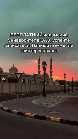 Хотите бесплатно учиться в Саудии или ОАЭ? Мы помогаем иностранным студентам поступить в такие вузы, как: — Исламский университет Медины — Умм Аль-Кура — Университет короля Сауда — Университет Аль-Касимия (ОАЭ) и другие. 📌 Университеты предоставляют полное финансирование: — ежемесячная стипендия — бесплатное жильё и питание — медицинская страховка — авиабилеты. 📌 Требуются: паспорт, аттестат с табелем, медсправка и другие документы. Часто абитуриенты теряют шанс из-за ошибок при переводе и подаче. Наша услуга — мы переводим и правильно оформляем документы, подаём заявки и сопровождаем вас на всём пути до поступления. #оаэ #саудия #ислам #образование #коран 