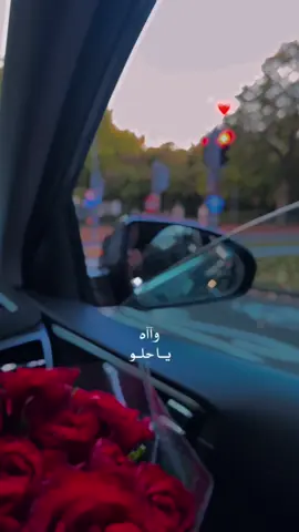 ✨❤️🫀#bruxeelles🇧🇪 