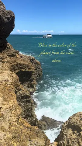 Beautiful People Beautiful Problems #lanadelrey #stevienicks #portugal 