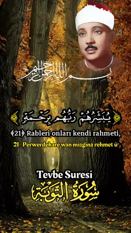 surah al tavbah #denge_quranee #kuranıkerim🕊🕋 #عبدالبسط_عبدالصمد #قران_كريم #reels__tiktok 