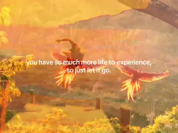 whatever must come will come, whatever need to go will go. just keep living. #sageion 