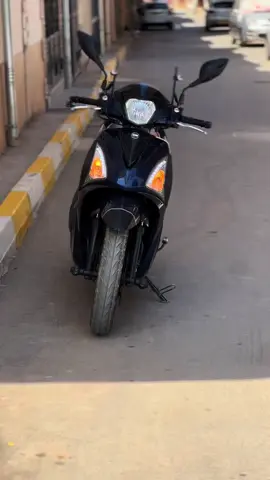 #blida09_tiktok_algérie❤️🇩🇿 #algeria 