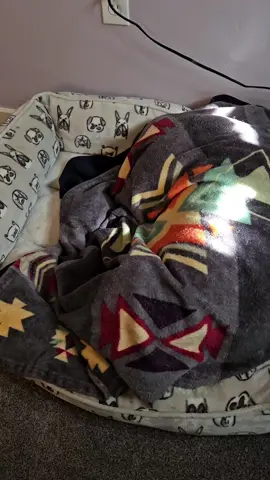 Thor would definitely win first place in a napping competition.  #dogtok #souldog #pitties #pittiesoftiktok #americanbully 