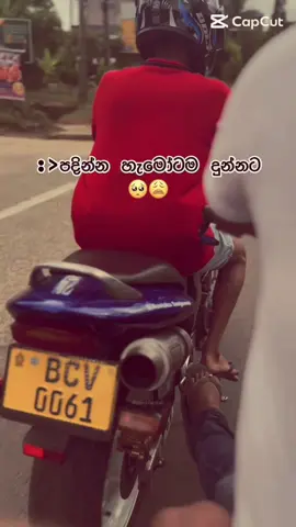 හදන්න සප් එක දුන්නේ ටික දෙනයි😍💐#hornet #hornet250 #viraltiktok #srilanka 