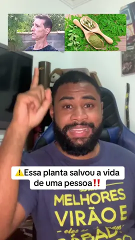 Essa planta é incrível… #moringa #saude 
