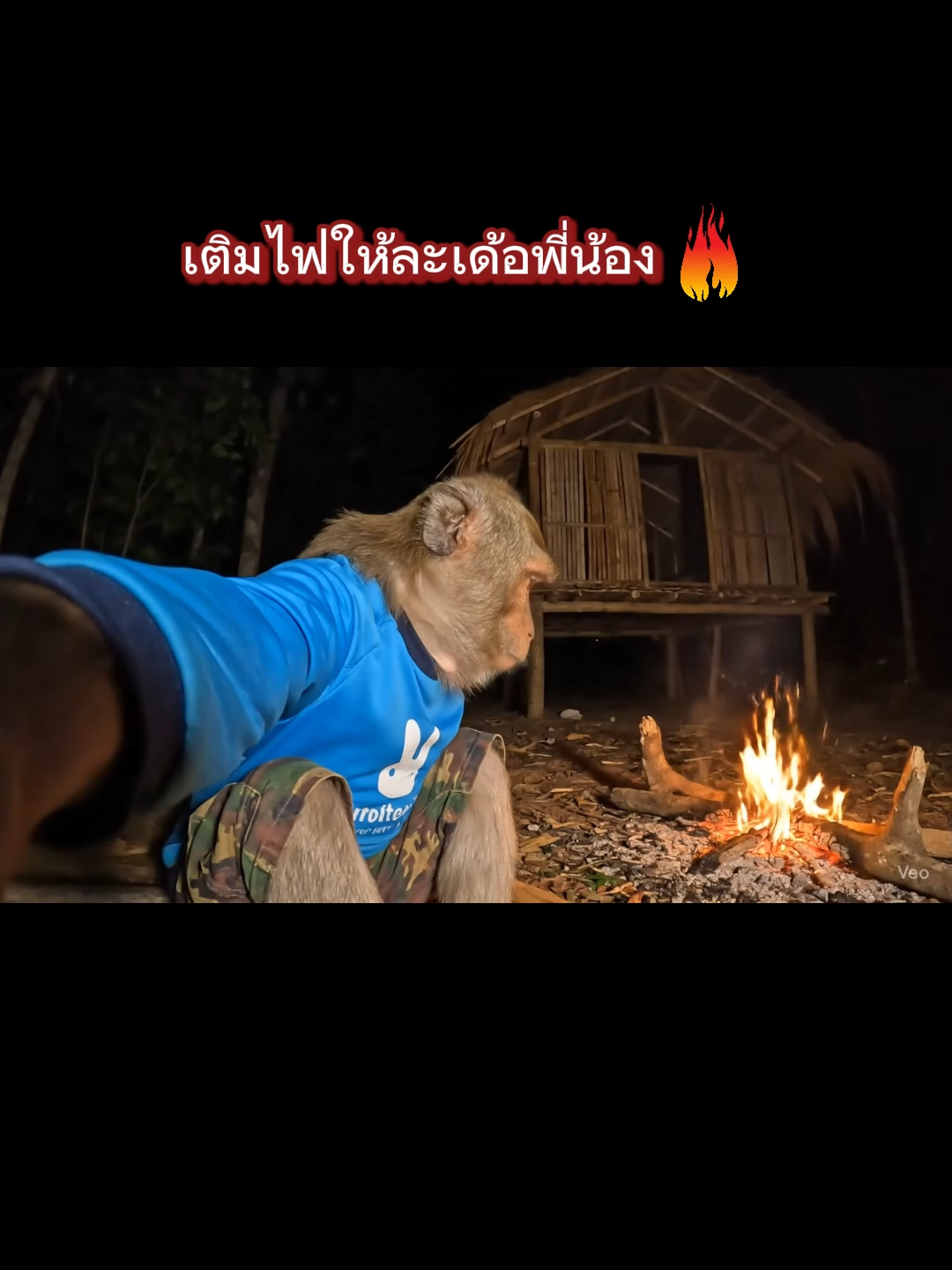 อย่าลืมส่งลิงแสมน้อยไปเติมไฟนะครับ#เทรนวันนี้ #เอาขึ้นหน้าฟีดที #เติมไฟ #ai #fyp #เอาขึ้นหน้าฟีดที