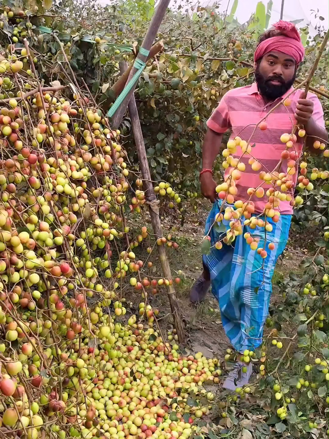 #fruit #asmr #fruits