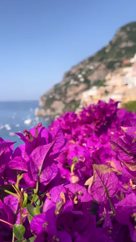 Frequently asked questions #travel #europe #italy #fyp #traveltiktok 