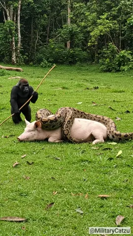 Ai generated video #shorts #viralshort #foryou #foryoupage❤️❤️ #viral 