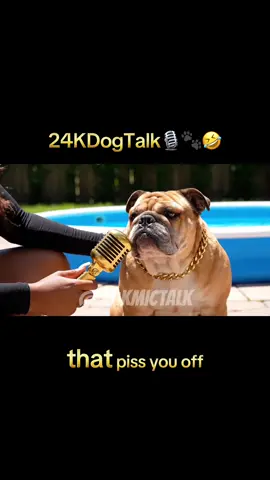 These dogs said what they said.🎙️🤣#24kmictalk #24kdogtalk #funnyinterview #doginterview #ai 