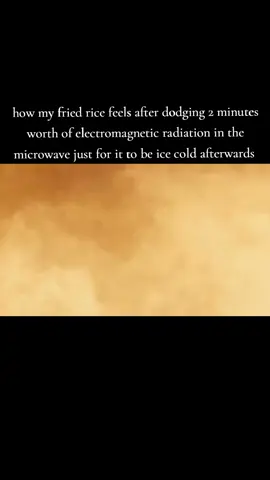 #friedrice #microwave #auraman #funny #relatable how my fried rice feels after dodging 2 minutes worth of electromagnetic radiation in the microwave just for it to be ice cold afterwards 