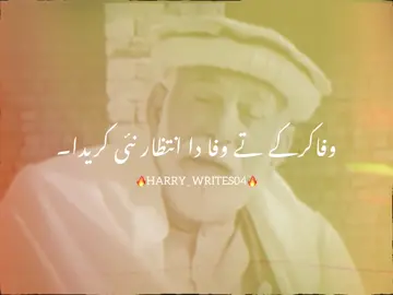WORD’S🙌💯#trending #fypシ゚ #virelvideo #punjabipoetry #punjabipoetry 