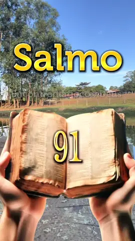Oração do Salmo 91 . #oracao #salmo91 #mulherdefé #oracaopoderosa #palavradedeus 