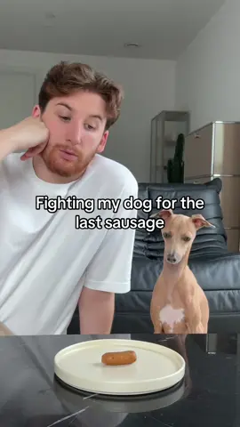 Who will get the last sausage? #dog #cute #funny #fyp 